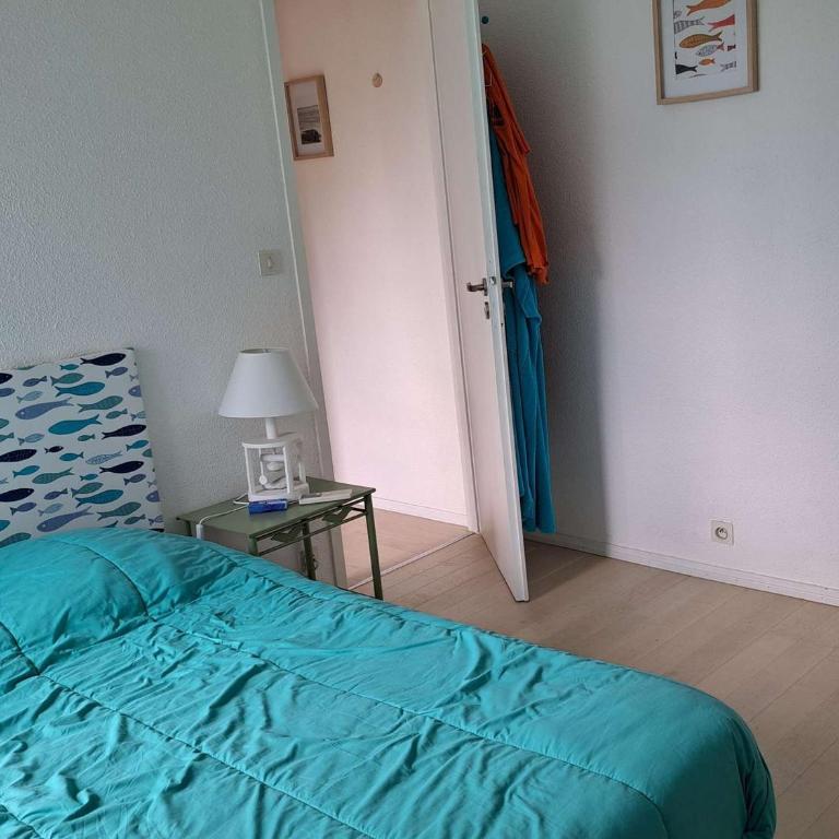 Maison de vacances avec Jacuzzi proche du Lac de Biscarrosse - FR-1-831-12 - Villa - 7