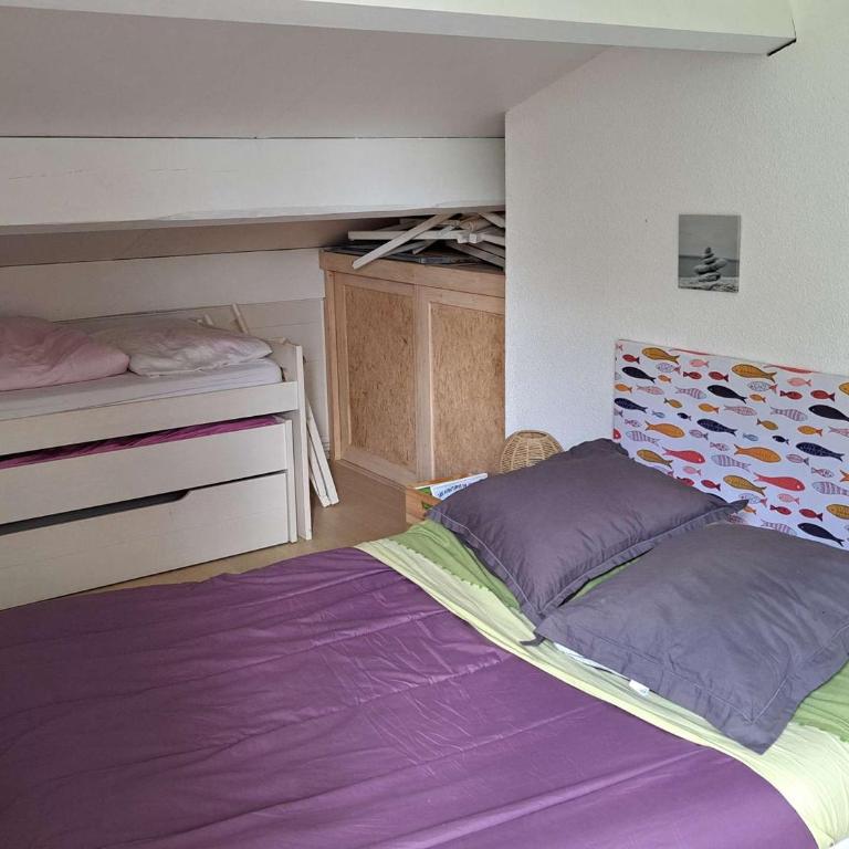 Maison de vacances avec Jacuzzi proche du Lac de Biscarrosse - FR-1-831-12 - Villa - 8