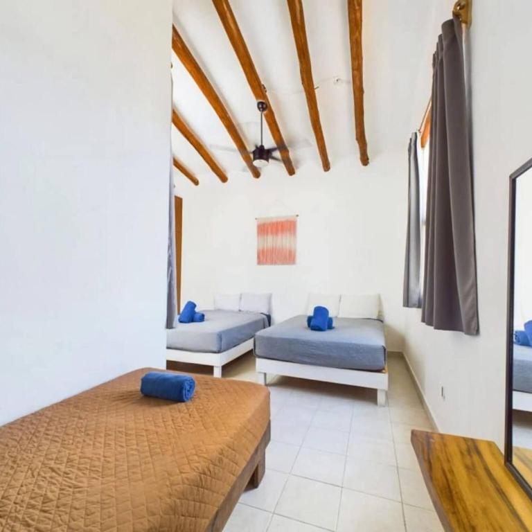 Pent House cerca de todo - Apartment - 13