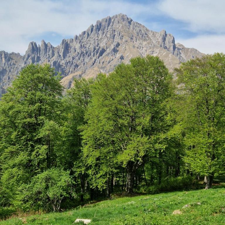 Tra Monti e Lago - Appartamento con 1 Camera da Letto - 24