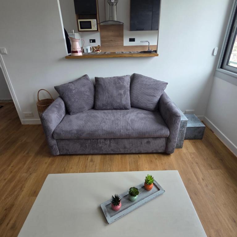 le cocon sarladais, appartement centre ville avec balcon et parking privé - Apartment mit 1 Schlafzimmer - 8