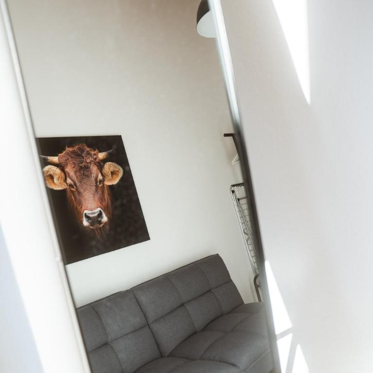 Wohlfühl Oase Loftwohnung Rottach ab 3 Nächten - Apartment mit 1 Schlafzimmer - 12