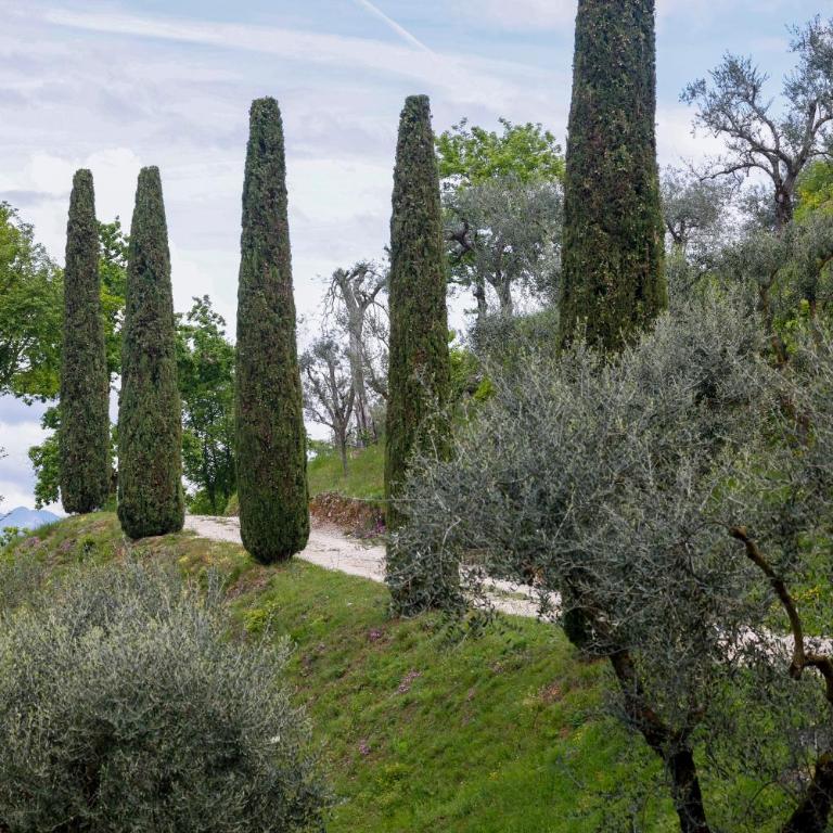 Podere Sabaina, Private Villa mit beheiztem Pool, Seeblick und 3 Wohneinheiten zur Alleinnutzung - Villa con Piscina Privata - 47