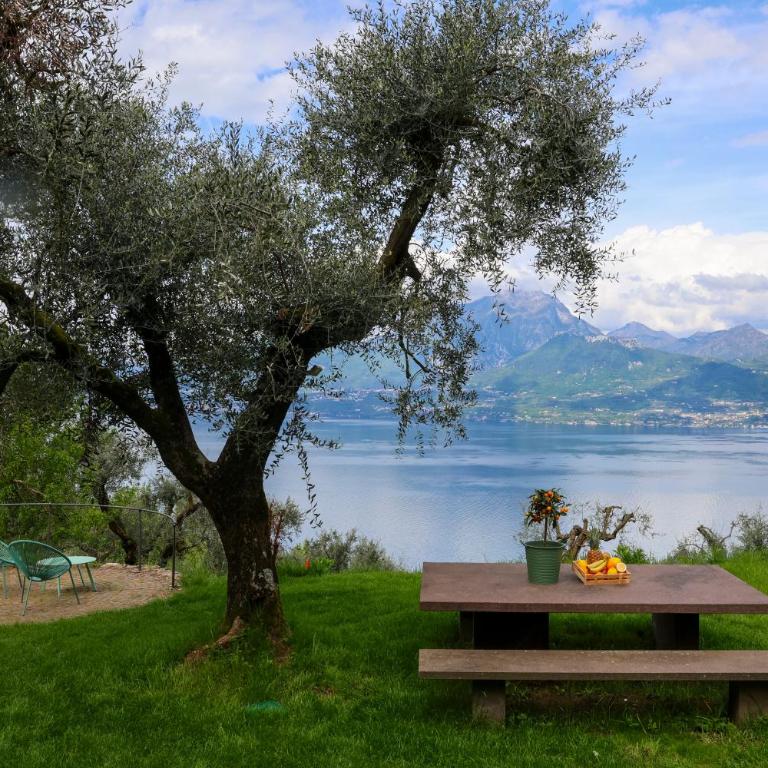 Podere Sabaina, Private Villa mit beheiztem Pool, Seeblick und 3 Wohneinheiten zur Alleinnutzung - Villa con Piscina Privata - 49
