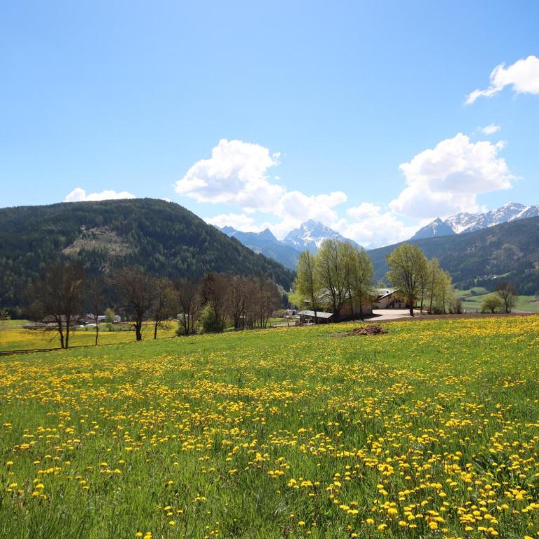 Aurturist Monguelfo Roulette - AT 198 - Via Riva di Sotto 33, Roulette - 7