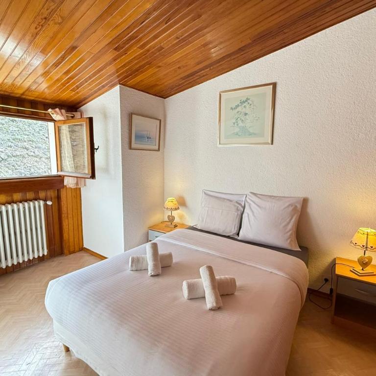 Beautiful detached house facing the slopes - Chalet - 5