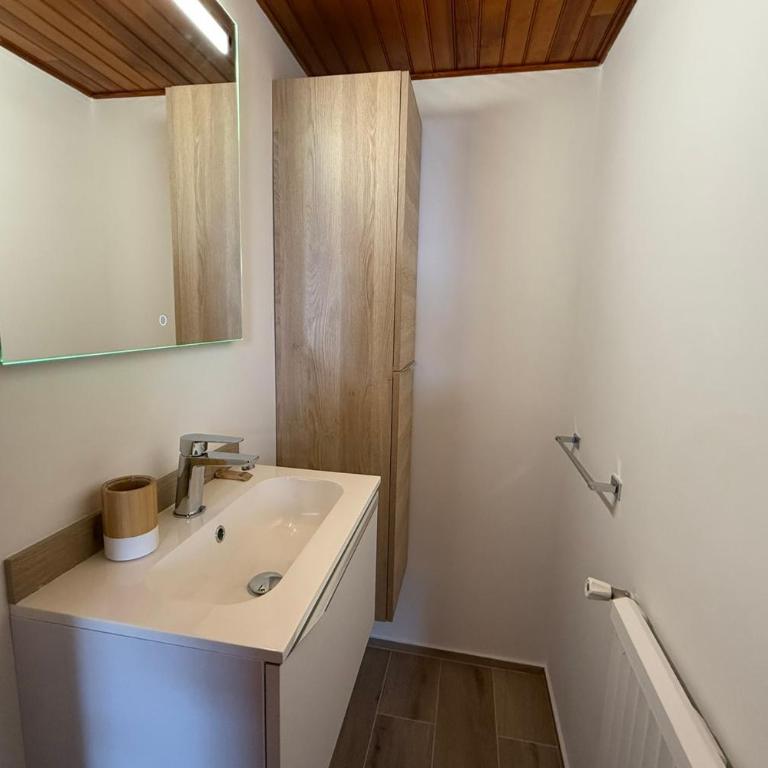 Beautiful detached house facing the slopes - Chalet - 24