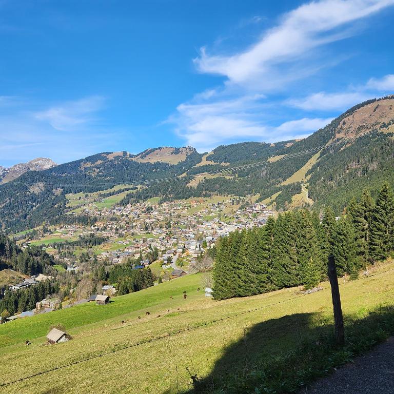 Nouveau !LE CHOUCAS appartements au centre de Chatel avec parking couvert - Appartement 2 Chambres - 10