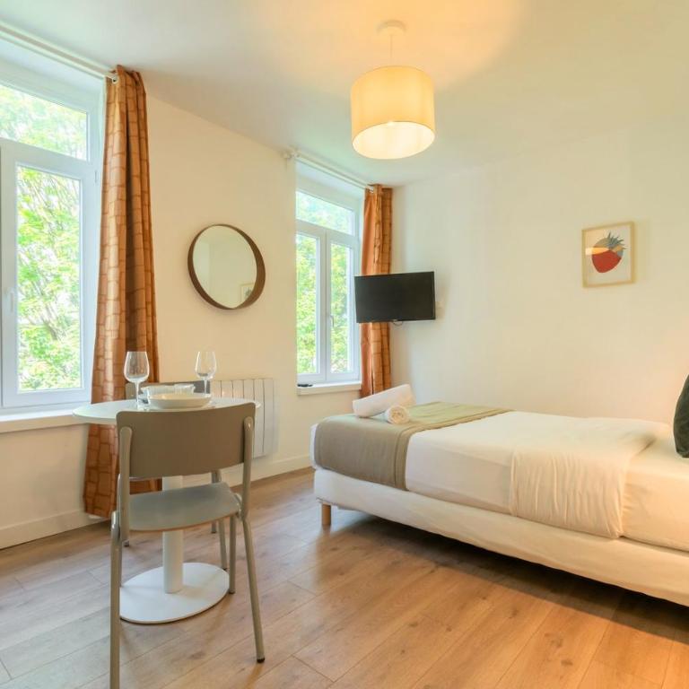 Lille Sébastopol nice studio - Apartment - 1