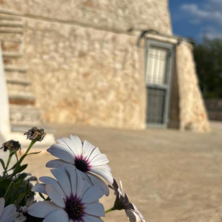 Fiorina House Ostuni - Appartamento Standard con 2 Camere da Letto - 24