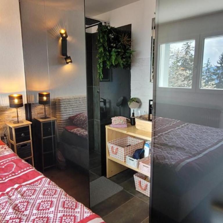 Chez Claudine et Charles - Crans-Montana - Studio - Vue sur Montagne - 12
