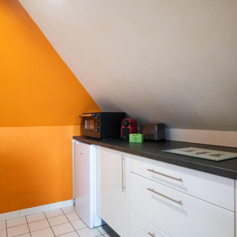 Charming Duplex in Lille city center: 4 people - Apartment - 10