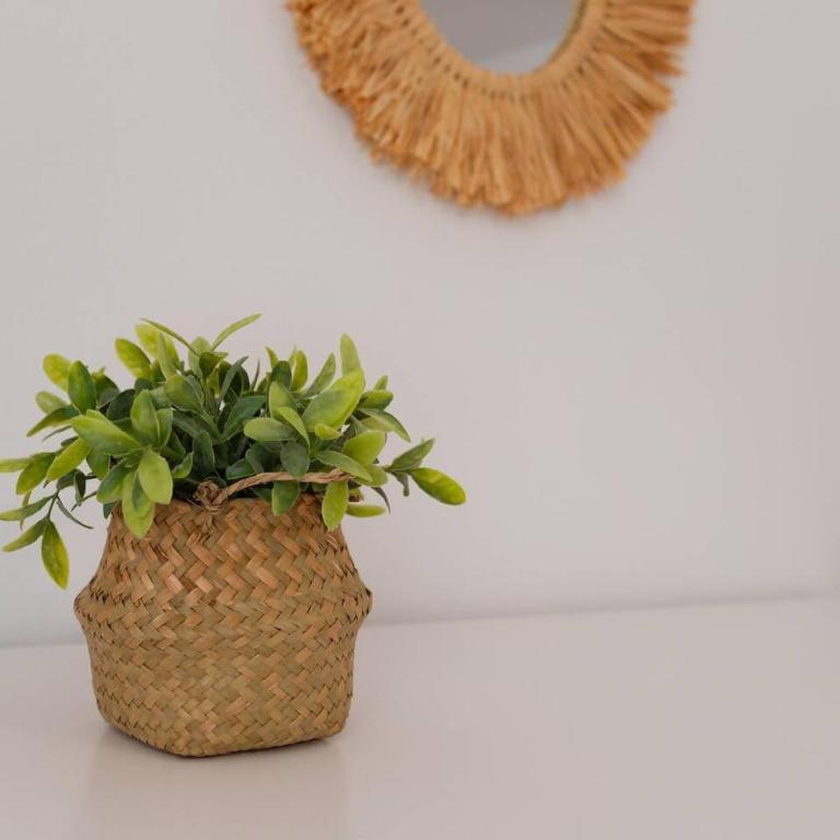 Casa Sánchez. Old Town Marbella - Apartamento - 28