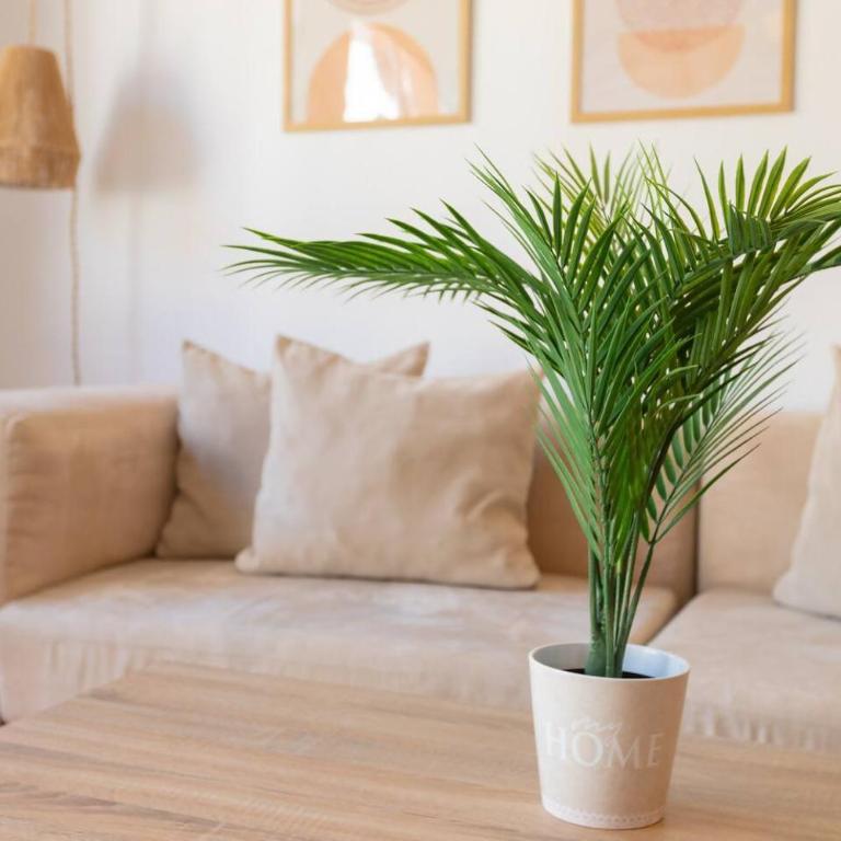 Casa Sánchez. Old Town Marbella - Apartamento - 33