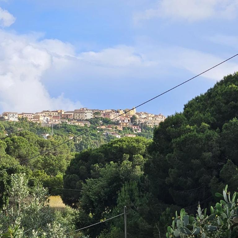 A Casa di Titti - Goelba - Appartamento con 1 Camera da Letto - 9
