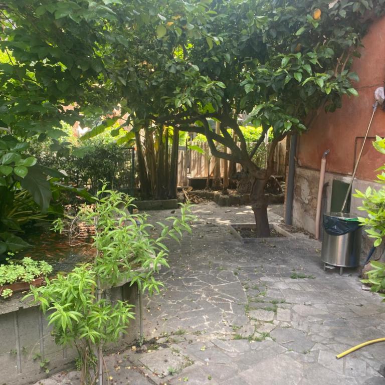 Villetta Garbata - Two-Bedroom Apartment - 2