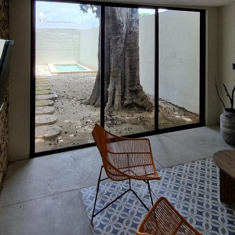 Casa Guaya - Centro Mérida - One-Bedroom Apartment - 3