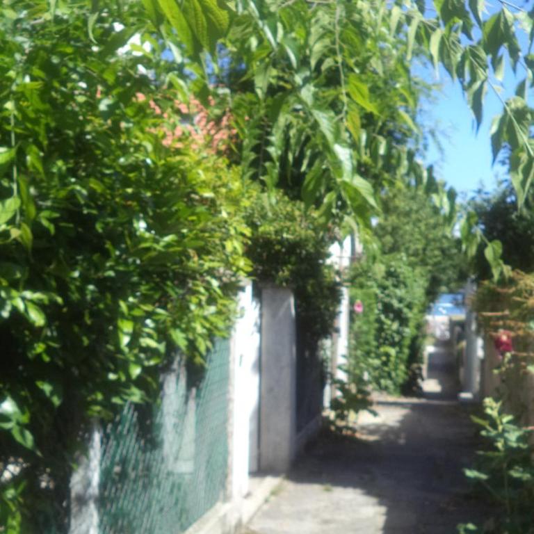 Arcachonaise à 50 m de la plage, Arcachon Centre - Casa de 3 dormitorios - 23