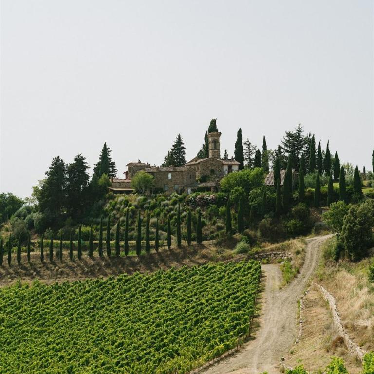 Villa Tenuta Casenuove, Tuscany, Italy - Villa - 27