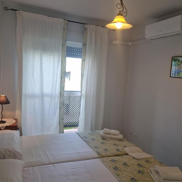 Coral 5 1.3 - Apartamento - 4