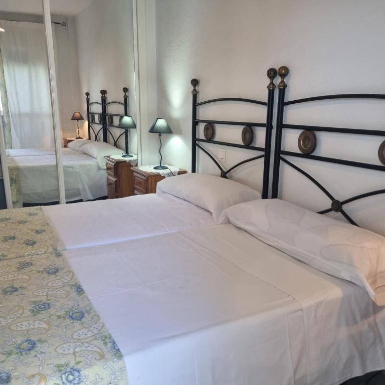Coral 5 1.3 - Apartamento - 8