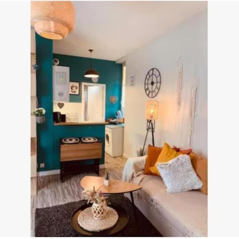 L'Ocean Appartement lumineux centre Blois - Apartamento de 1 dormitorio - 12