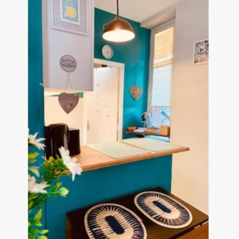 L'Ocean Appartement lumineux centre Blois - Apartamento de 1 dormitorio - 11