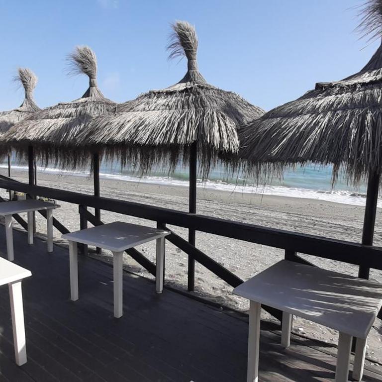 Coral 5 1.3 - Apartamento - 29