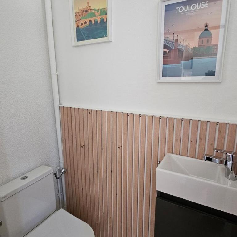 Cocon chaleureux au cœur d'Albi - Maison 3 Chambres - 25