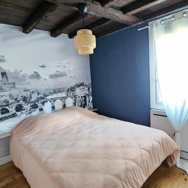 Cocon chaleureux au cœur d'Albi - Maison 3 Chambres - 35