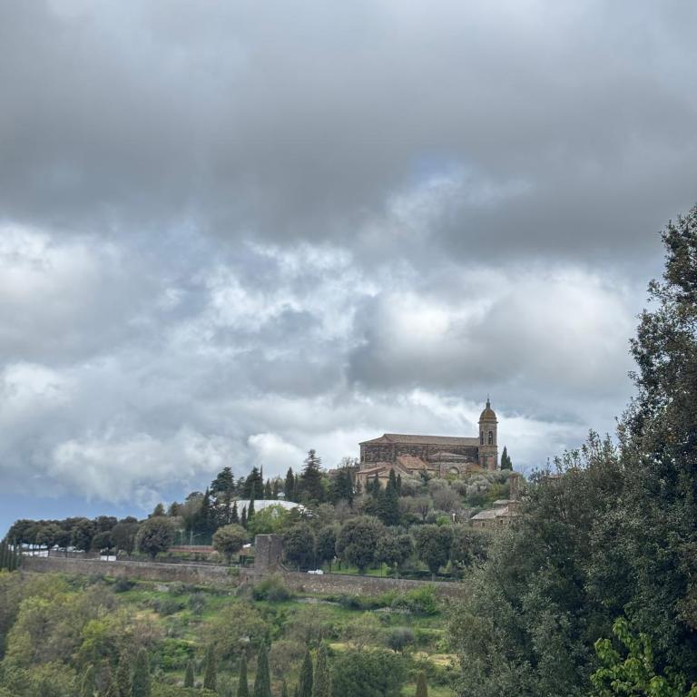 Montalcino numero10 - Apartment mit 2 Schlafzimmern - 1