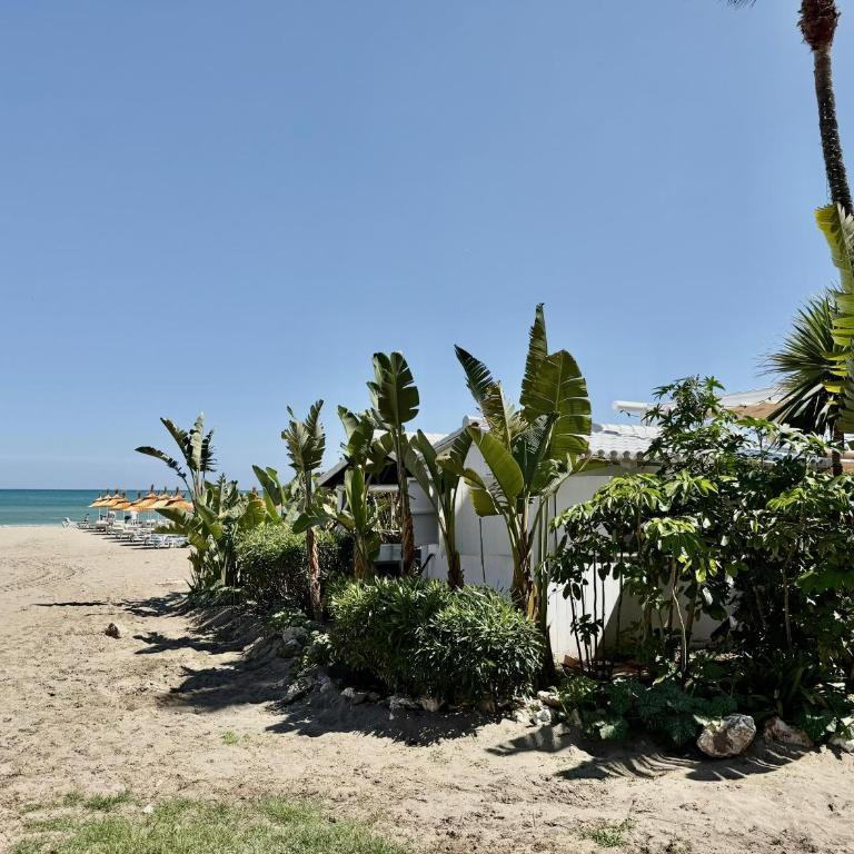 Loft Carihuela Beach Los Nidos - Apartamento de 1 dormitorio - 30