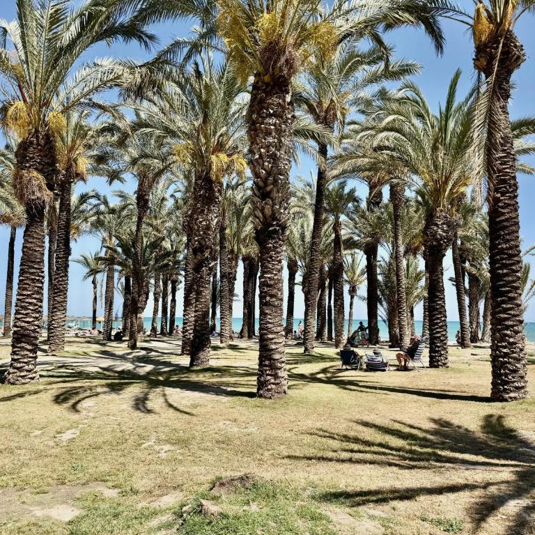 Loft Carihuela Beach Los Nidos - Apartamento de 1 dormitorio - 36