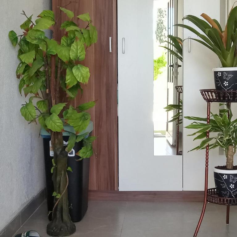 Apartman Hadže - Apartman sa 1 Spavaćom Sobom - 16