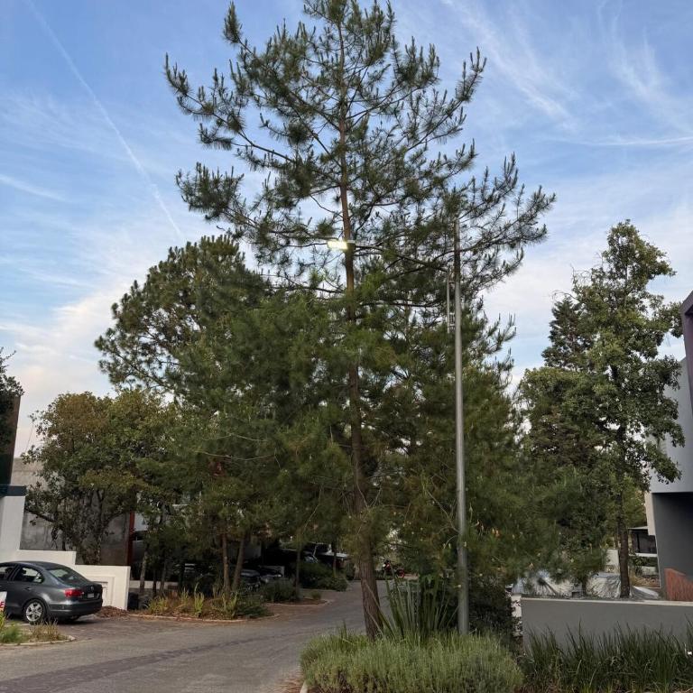 Large house in an exclusive area - Three-Bedroom Apartment - 18