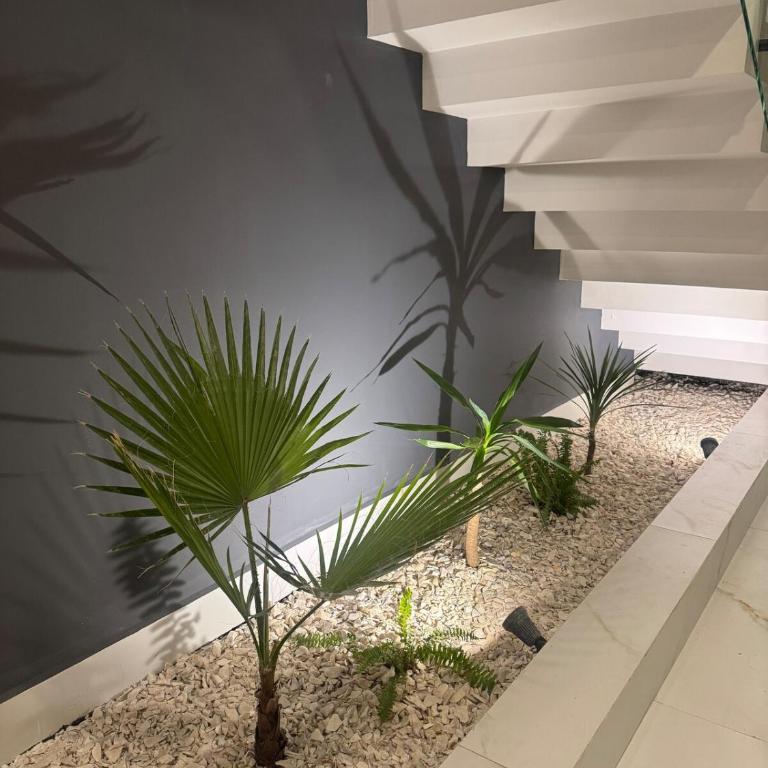 Large house in an exclusive area - Three-Bedroom Apartment - 26
