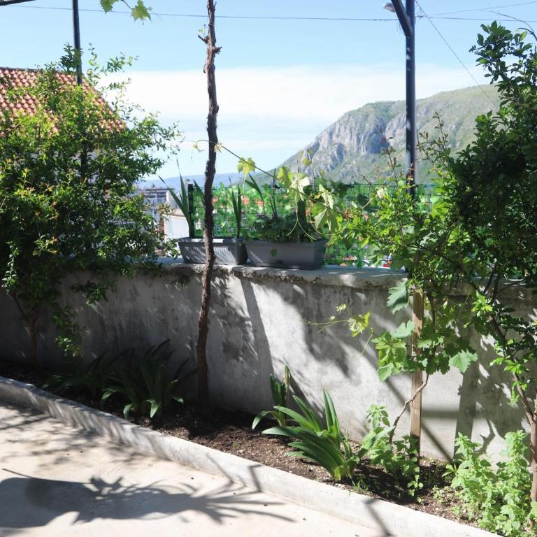 Apartman Hadže - One-Bedroom Apartment - 17