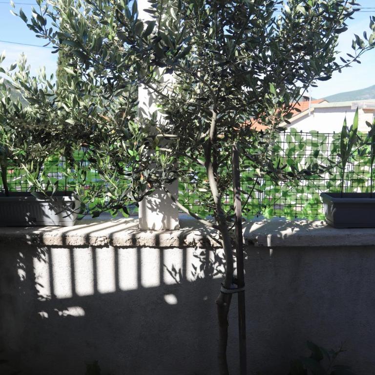 Apartman Hadže - One-Bedroom Apartment - 18