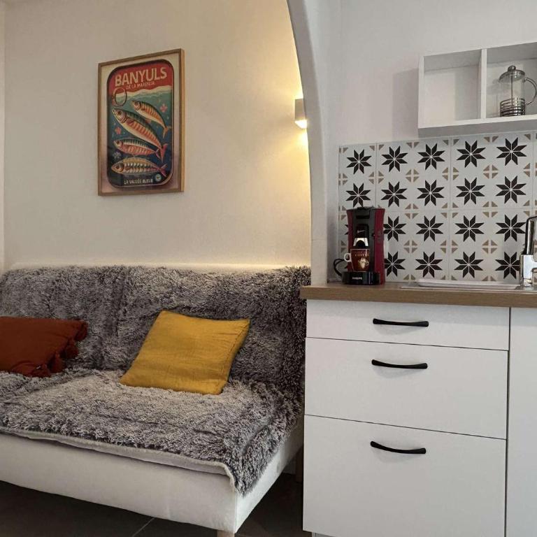 Appart 2 pièces 2 couchages BANYULS SUR MER BN000-18A - One-Bedroom Apartment with Terrace - 1