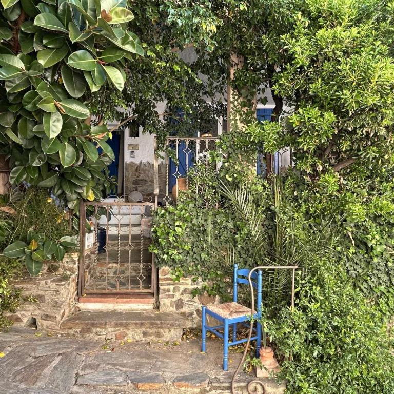 Appart 2 pièces 2 couchages BANYULS SUR MER BN000-18A - One-Bedroom Apartment with Terrace - 21