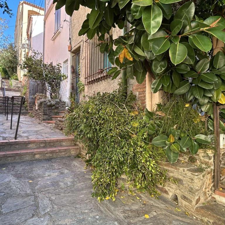 Appart 2 pièces 2 couchages BANYULS SUR MER BN000-18A - One-Bedroom Apartment with Terrace - 22