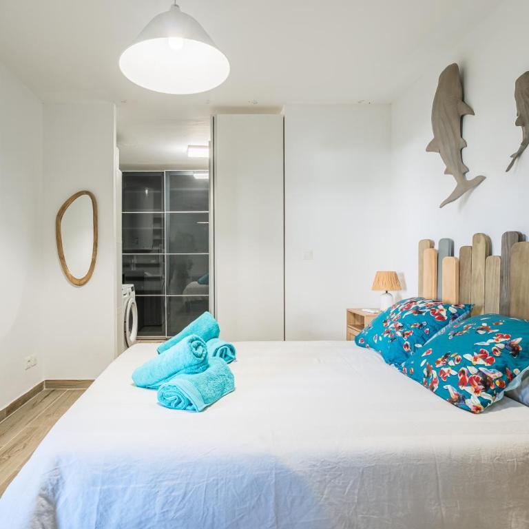 Liberté - Appartement 1 Chambre - 4