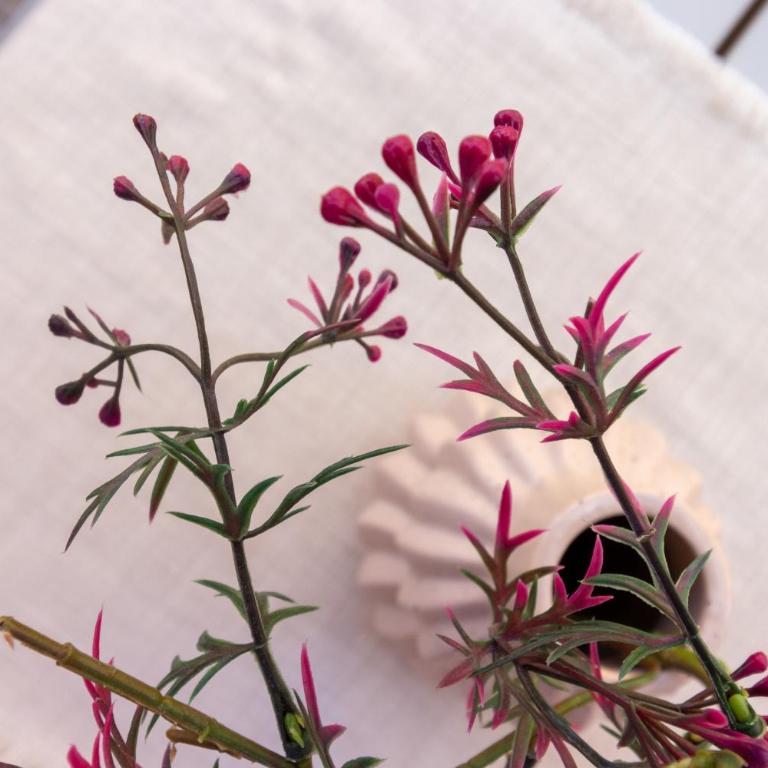 Honeymoon in the heart of Cagliari - Appartamento - 20