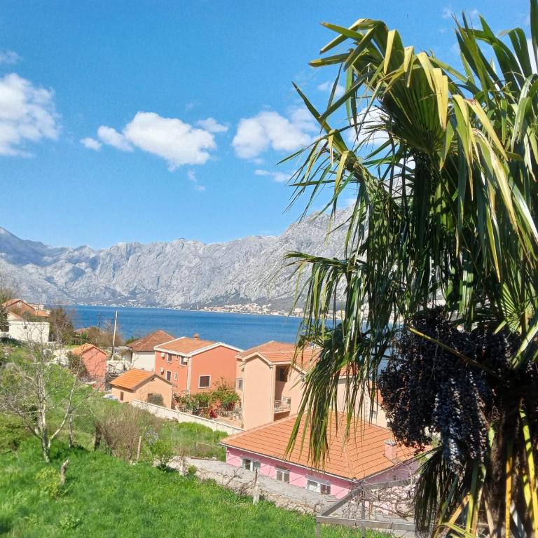 Apartment Silvi - place with amazing view! - One-Bedroom Apartment - 3