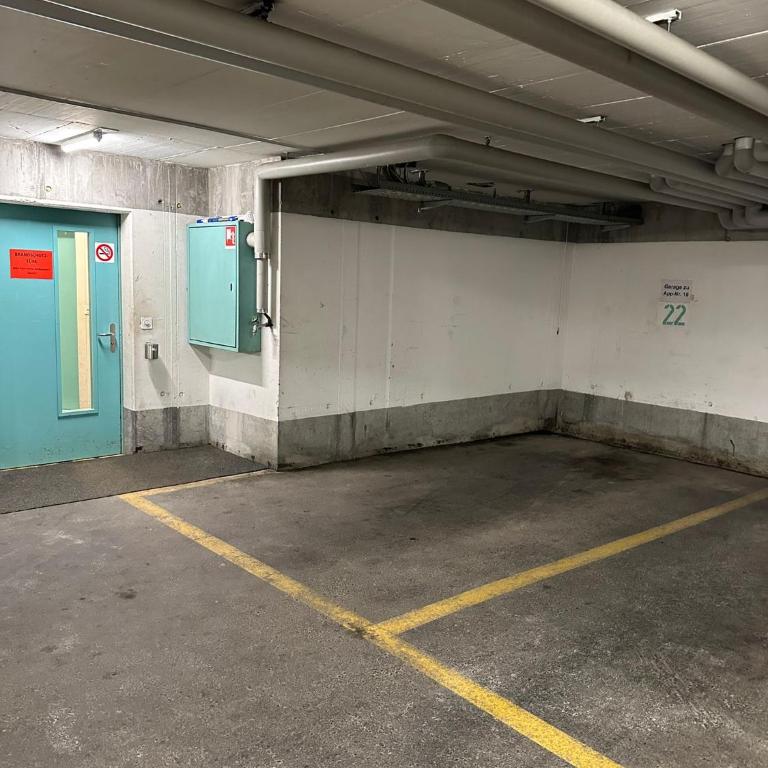 Grosszügige 3 Schlafzimmer Wohnung mit privatem Garten neben Jakobshornbahn - Apartment mit Blick auf die Berge - 72