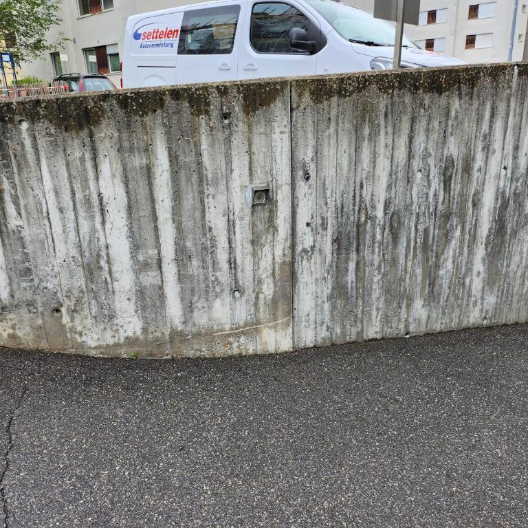 Grosszügige 3 Schlafzimmer Wohnung mit privatem Garten neben Jakobshornbahn - Apartment mit Blick auf die Berge - 93