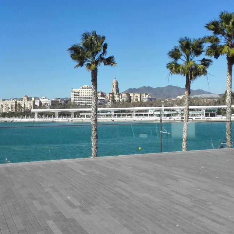 Villa Buenavista Malaga - sea view, private heated pool, spa, 5 bedrooms - Villa with Private Pool - 46