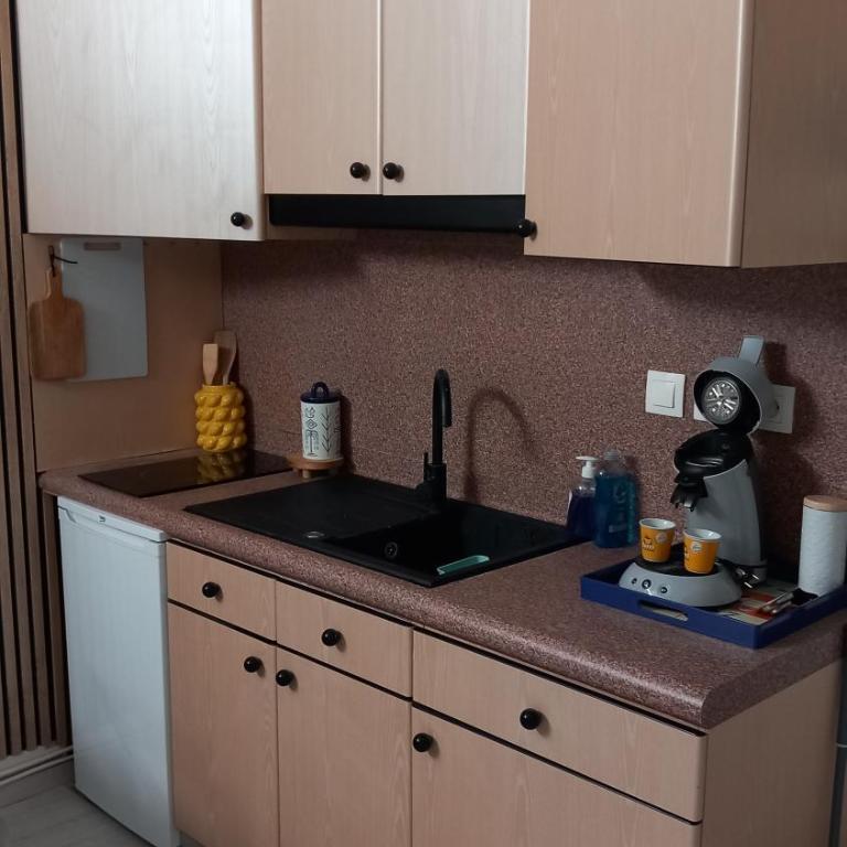 Studio Robine les halles avec clim - Appartement 1 Chambre - 3
