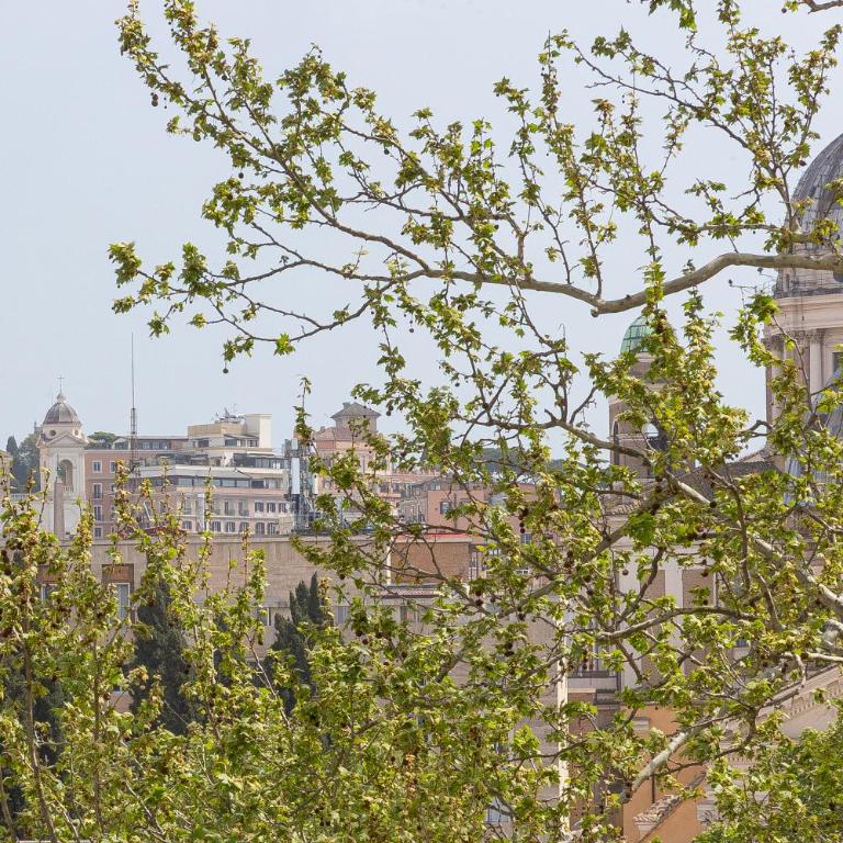 Mellini View by Rental in Rome - Appartamento - 45