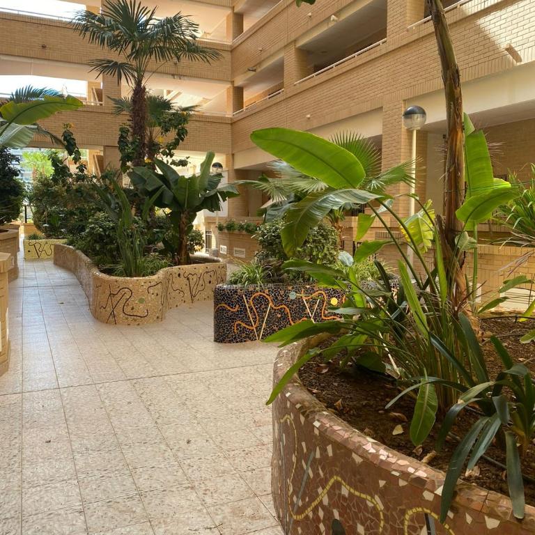 Apartamento Valparaíso en Magic World, Oropesa del Mar - Apartamento de 2 dormitorios - 45